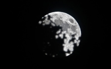 La lune se lève et se cache dans les arbres qui bordent la berge