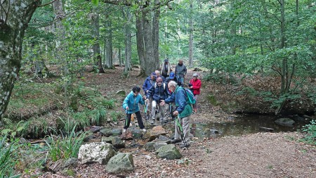 Chemin en forêt, des ruisseaux à franchir...