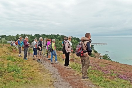 Nous nous élevons pour parcourir un plateau fleuri.