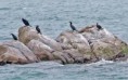/album/a2011-09-morbihan/a028-jpg/
