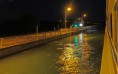 /album/a2018-croisiere-sur-le-rhin/a135e-jpg/