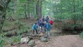 /album/a2019-09-la-montagne-noire/a11-lampy-jpg/