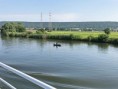 /album/2021-07-croisiere-vallee-de-la-seine/11-02-10-m-jpg/