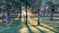 /album/la-ferte-imbault-en-sologne-28-sept-au-5-oct/20241005-084103-jpg/