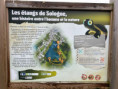 /album/la-ferte-imbault-en-sologne-28-sept-au-5-oct/img-0664-jpg/